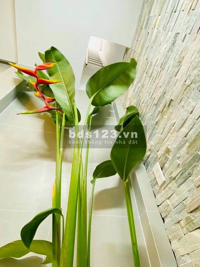 Bán nhà nguyên căn hẻm xe hơi khu dân cư đẹp lung linh, dt 48m2, 2 tầng, giá rẻ, sổ sẵn