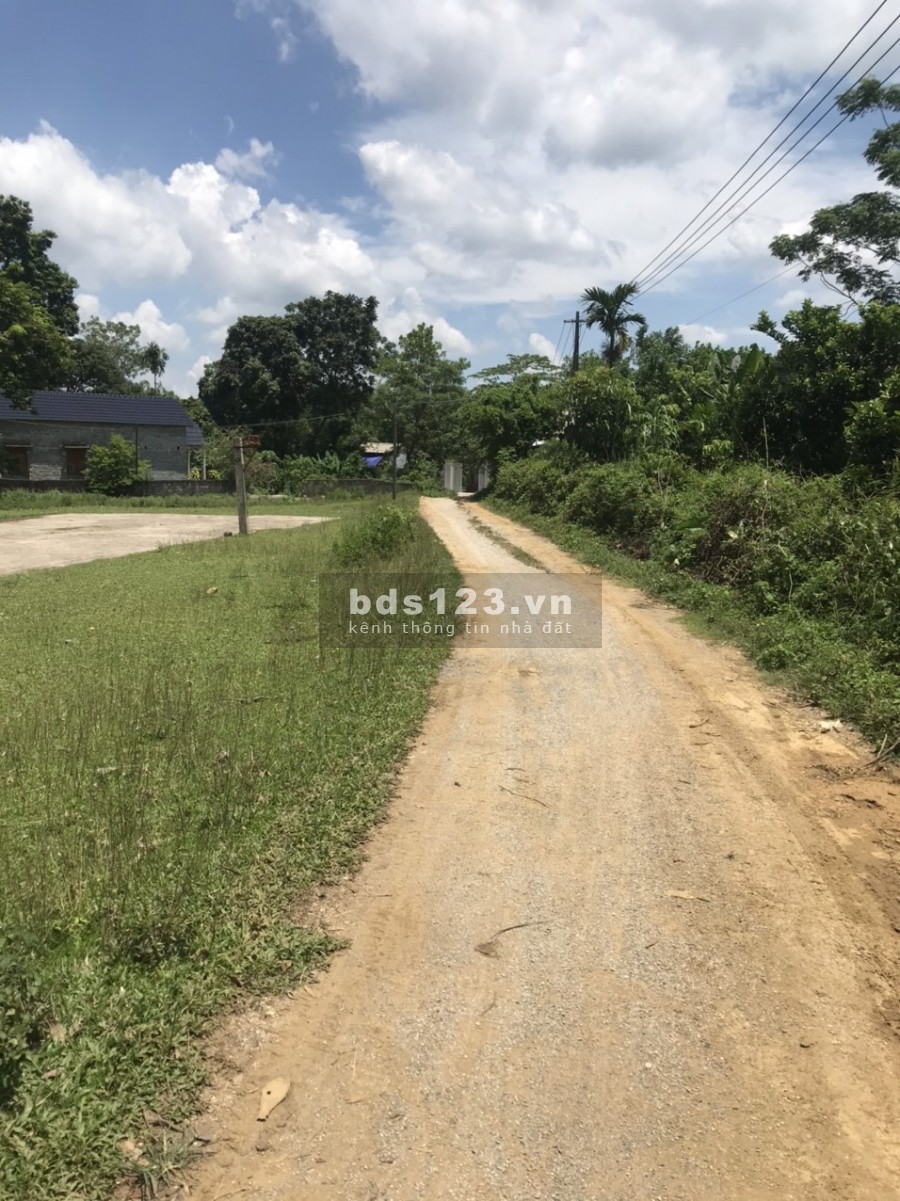 Bán 1250m2,có 1000m đất ở bám hồ, view đẹp giá rẻ nhất lương sơn hòa bình