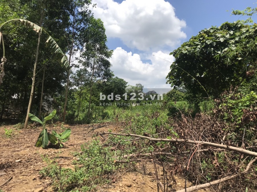 Bán 1250m2,có 1000m đất ở bám hồ, view đẹp giá rẻ nhất lương sơn hòa bình