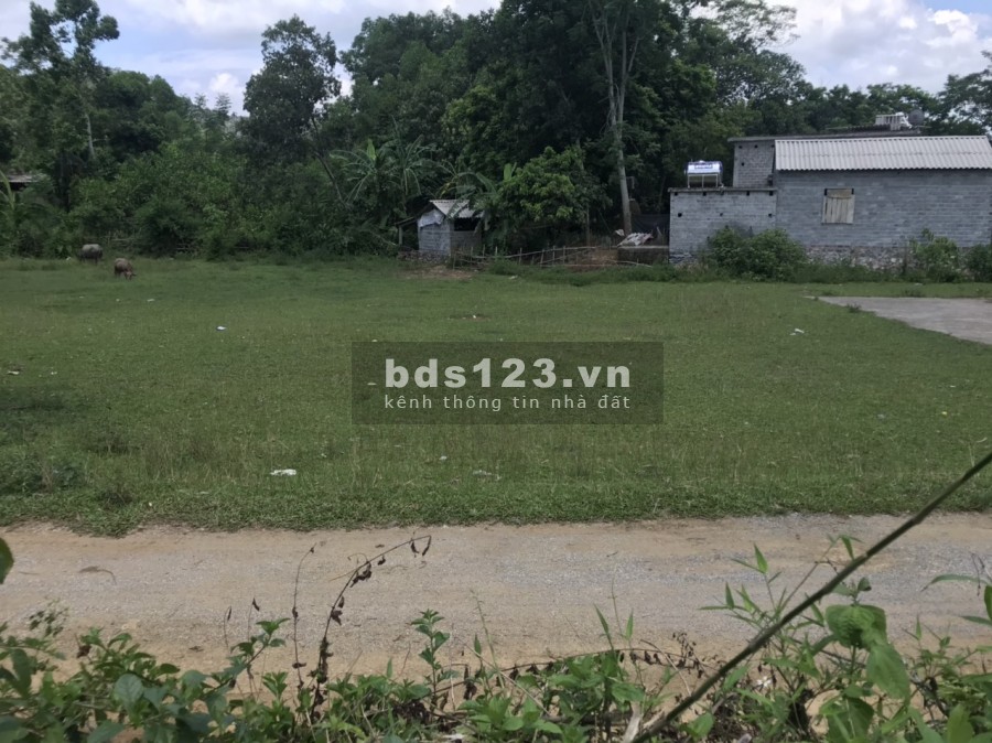 Bán 1250m2,có 1000m đất ở bám hồ, view đẹp giá rẻ nhất lương sơn hòa bình