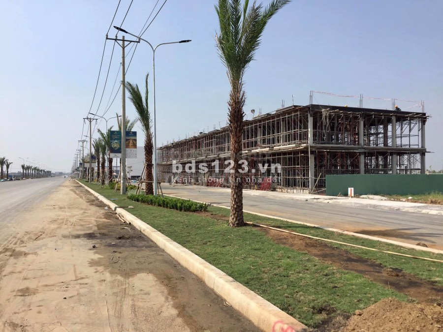 Đất nền diện tích 100m2 giá rẻ sổ hồng riêng cạnh chợ Hưng Long Bình Chánh bao GPXD