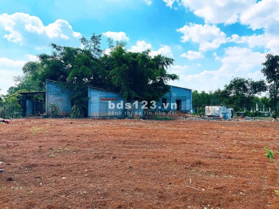 Bán gấp 1.2 mẫu đất mặt tiền đường bàu cạn sổ hồng riêng view hồ sinh thái