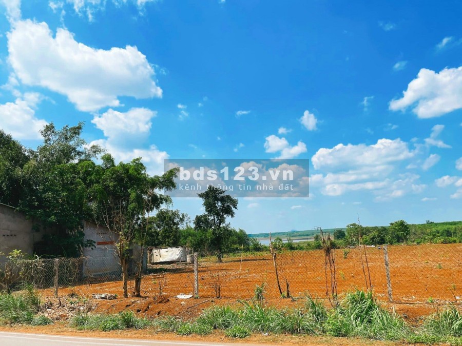 Bán gấp 1.2 mẫu đất mặt tiền đường bàu cạn sổ hồng riêng view hồ sinh thái