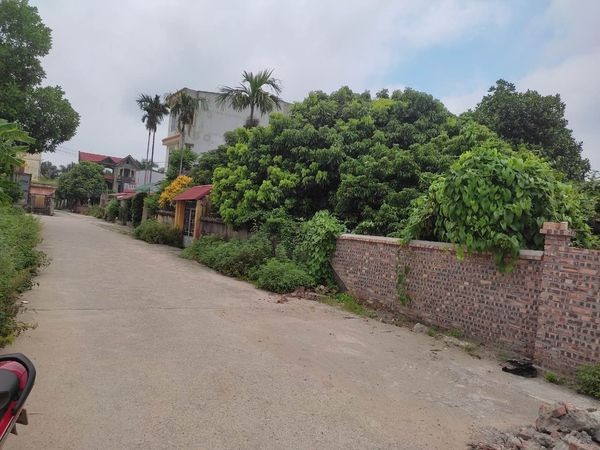 Chính chủ bán đất thổ cư Phường Vân Dương thành phố Bắc Ninh, giá bán 31 triệu/m2
