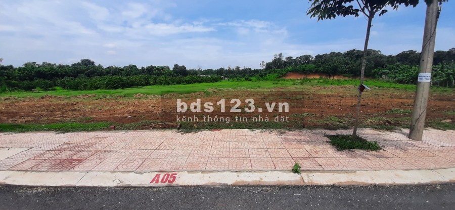 Đất sổ đỏ đường Hắc Dịch KP3 phường Hắc Dịch thị xã Phú Mỹ dt 190m² lh 0902514989