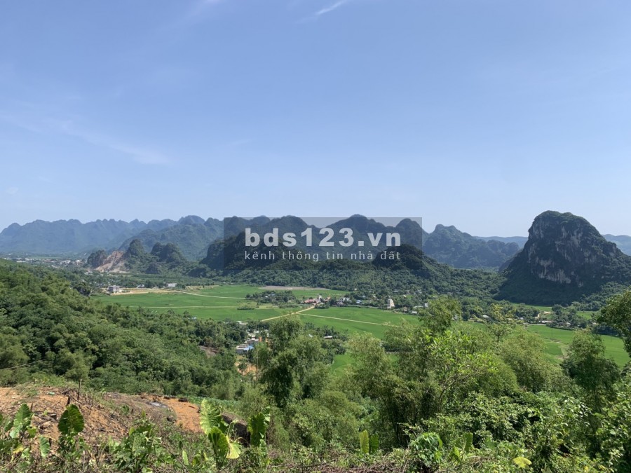 Bán đât Kim Bôi, Hòa Bình 20350m đất rsx, view cánh đồng, giá dưới 1 tỷ