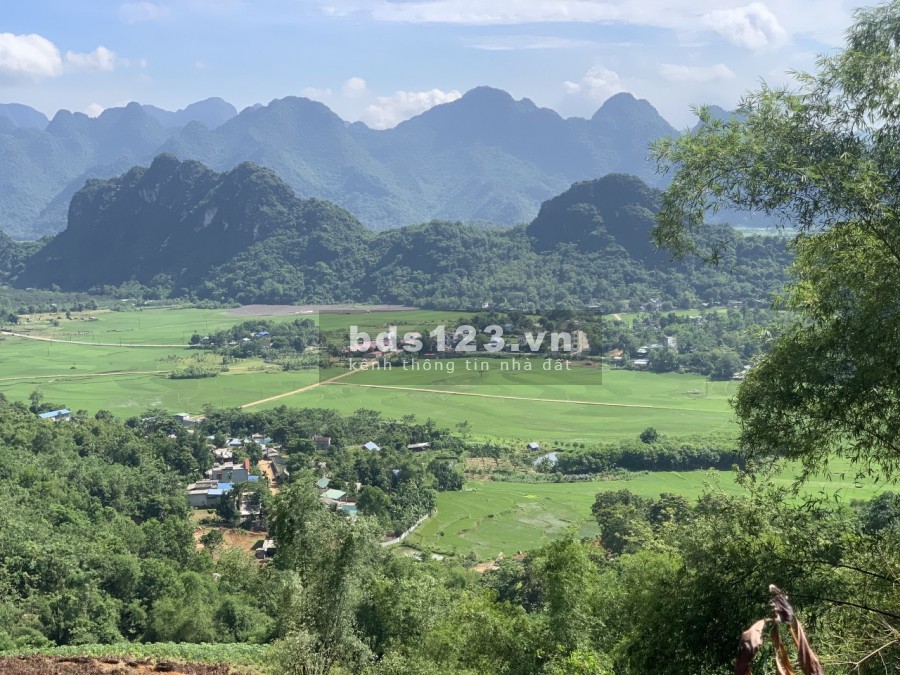 Bán đât Kim Bôi, Hòa Bình 20350m đất rsx, view cánh đồng, giá dưới 1 tỷ