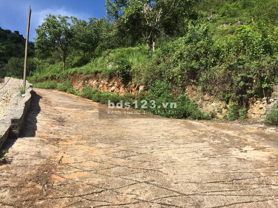 Cần bán lô đất ở Mộc Châu to, view đẹp, liên hệ xem đất 0792111993, giá thoả thuận