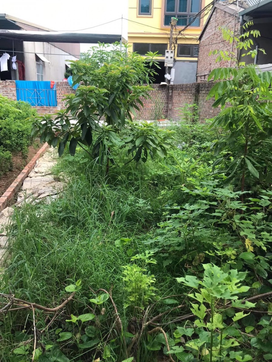 Bán Đất 42m2 lô góc siêu rẻ giá bán chỉ 1.3 tỷ mặt tiền 4.2m gần trung tâm Thanh Trì