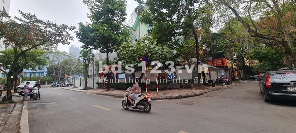 Bán biệt thự khu giao lưu đẳng cấp hoàng gia 3 mặt phố DT 415m2 giá 68 tỷ.