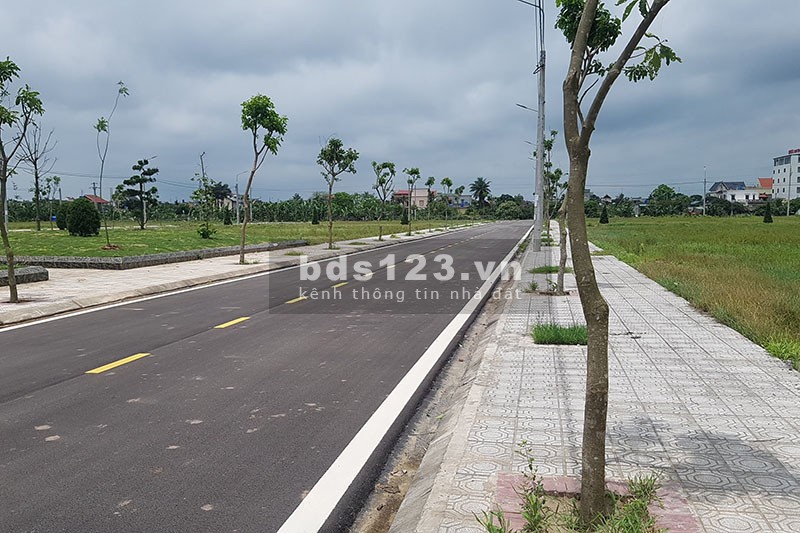 Chiết khấu 100 triệu, sổ đỏ trao tay, hạ tầng hoàn thiện, 1,5 tỷ/nền 100m tại Tiền Hải Thái Bình