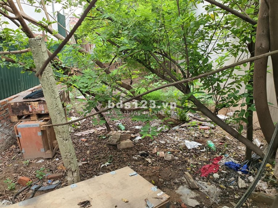 Bán 62m2 đất Giang Biên thoáng mát đường rộng ô tô tránh vỉa hè rộng kinh doanh tốt