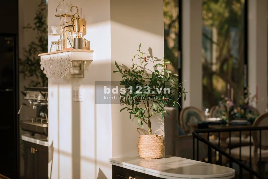 Bán nhà phố Tây Sơn Đống Đa rẻ như chơ vườn cây hoa lá, vài bước ra phố, dt 62m2, giá chỉ 4 tỷ hơn