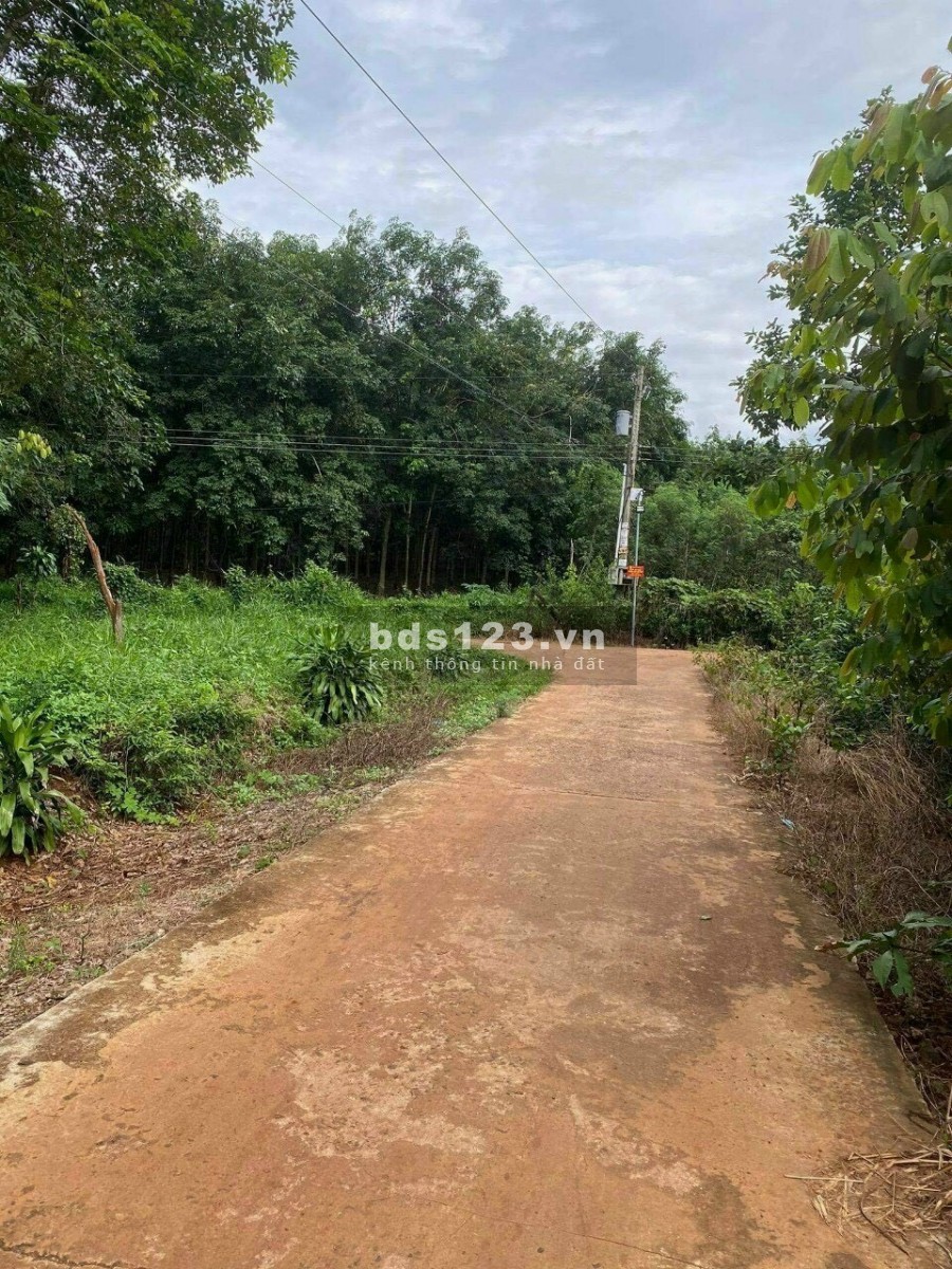 Cần bán gấp lô đất sào sát DT741 giá bán 790 triệu, pháp lí đầy đủ, sổ sẵn, ô tô vào tận đất