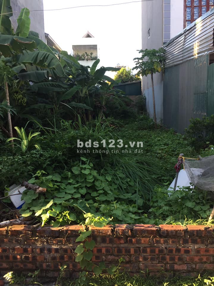 Bán đất phố Giang Biên, Long Biên, đường thông, ô tô qua, dt 89m2, mt 4m, giá bán 4,2 tỷ
