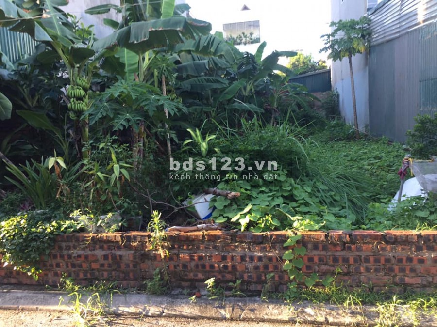 Bán đất phố Giang Biên, Long Biên, đường thông, ô tô qua, dt 89m2, mt 4m, giá bán 4,2 tỷ