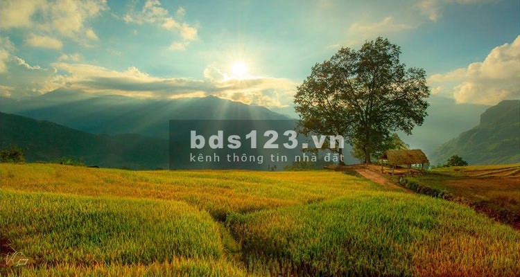 Lô đất siêu phẩm 2800m giữa trung tâm Y Tý, có bán chia thửa- Liên hệ 0822356688