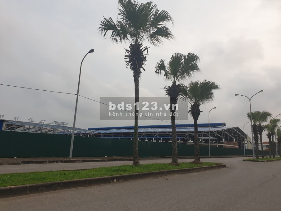 Cho thuê kho xưởng công nghiệp tại khu công nghiệp Đài Tư Quận Long Biên, giá tốt