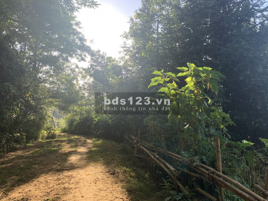 Y Tý(Sa Pa2) mở bán lô đất 700m2,view thung lũng cực đẹp, liên hệ chính chủ 0977587559