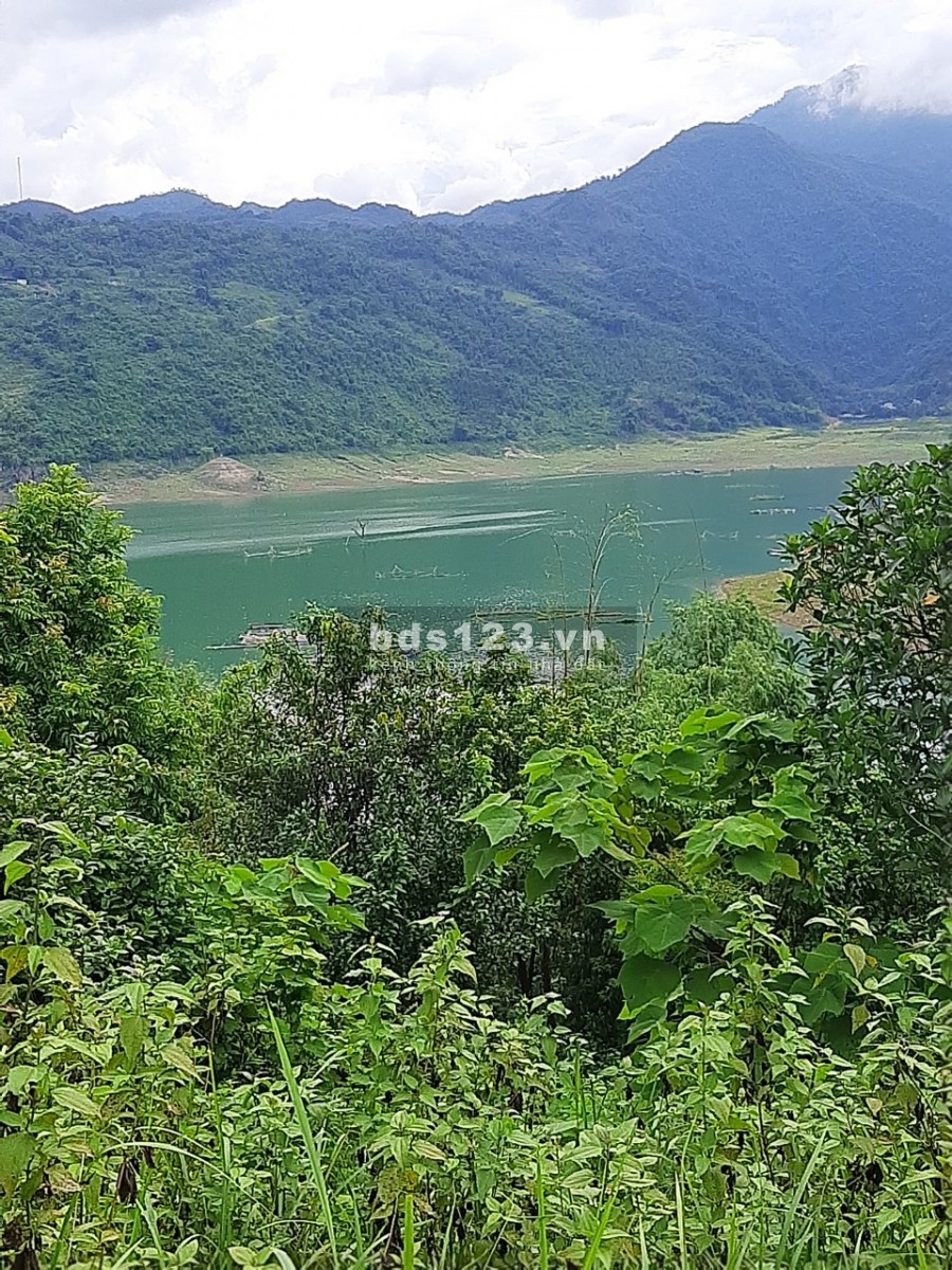 Siêu phẩm 4ha view cao lộng gió, ruộng bậc thang, view song dài nhất Hiền Lường, sổ sẵn