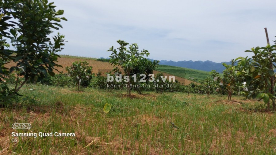 Chủ kẹt tiền cần bán gấp mảnh đất có diện tích 5100m2 có 400m2 thổ cư giá 850 triệu