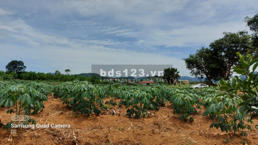 Chủ kẹt tiền cần bán gấp mảnh đất có diện tích 5100m2 có 400m2 thổ cư giá 850 triệu