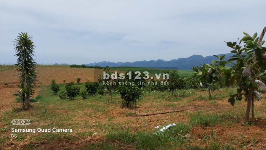 Chủ kẹt tiền cần bán gấp mảnh đất có diện tích 5100m2 có 400m2 thổ cư giá 850 triệu