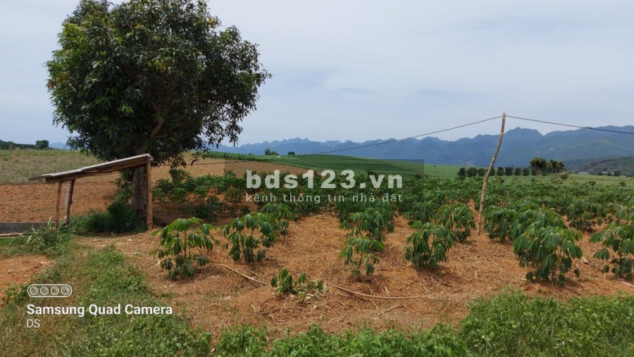 Chủ kẹt tiền cần bán gấp mảnh đất có diện tích 5100m2 có 400m2 thổ cư giá 850 triệu
