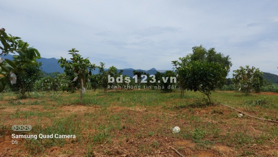 Chủ kẹt tiền cần bán gấp mảnh đất có diện tích 5100m2 có 400m2 thổ cư giá 850 triệu
