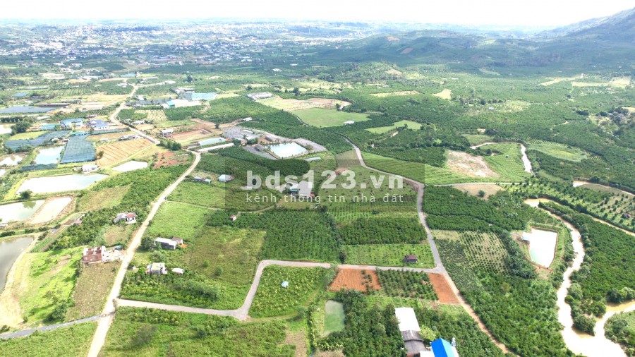 Bán vườn ngay xã Lộc Châu thành phố Bảo Lộc, giá bán 150 triệu/m2, pháp lí đầy đủ