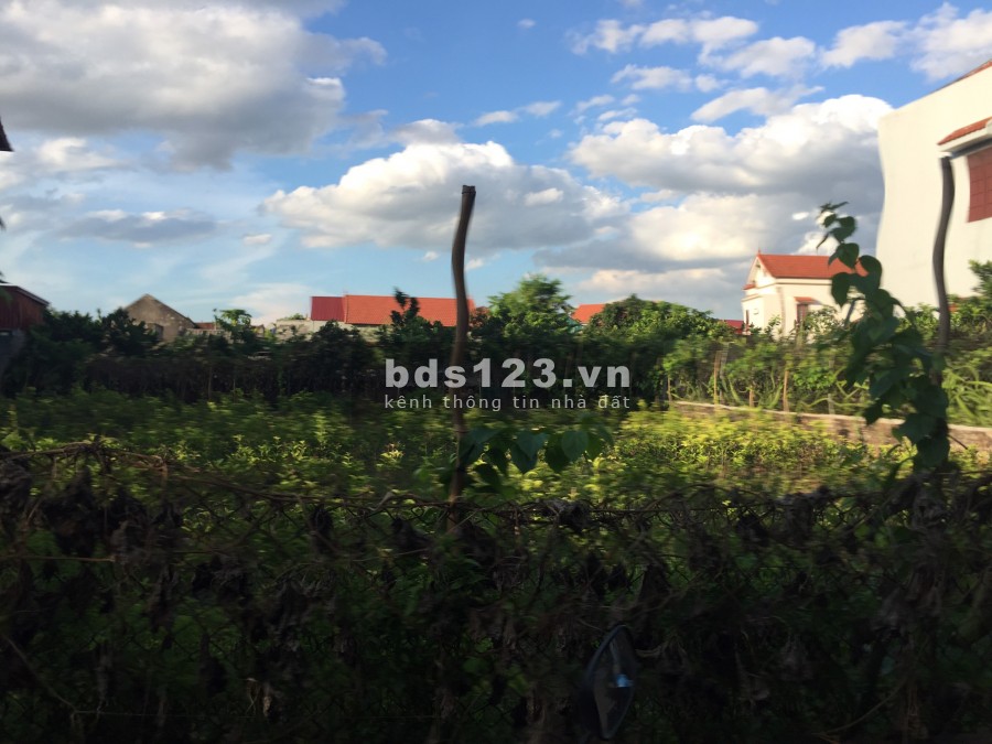 Chính chủ, bán gấp 350m2 đất thổ cư Thắng Lợi, Văn Giang, Hưng Yên, giá 2 tỷ hơn