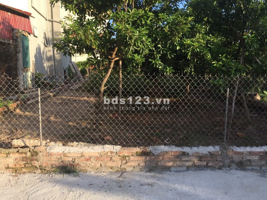 Chính chủ, bán gấp 350m2 đất thổ cư Thắng Lợi, Văn Giang, Hưng Yên, giá 2 tỷ hơn