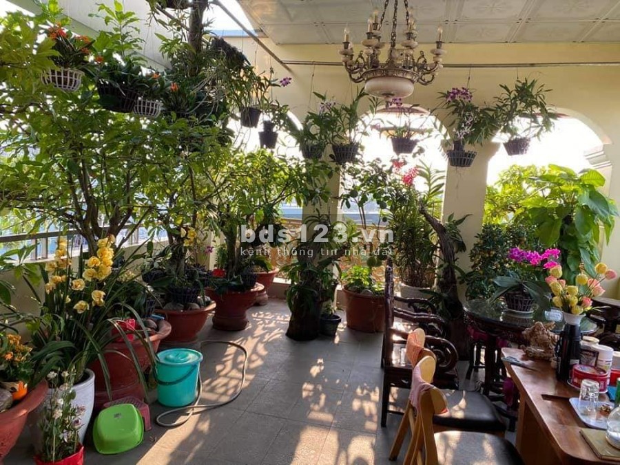 Gấp bán Mặt tiền Nguyễn Trãi P. Nguyễn Cư Trinh Q1, 39m2 Chỉ nhỉnh 13 tỷ