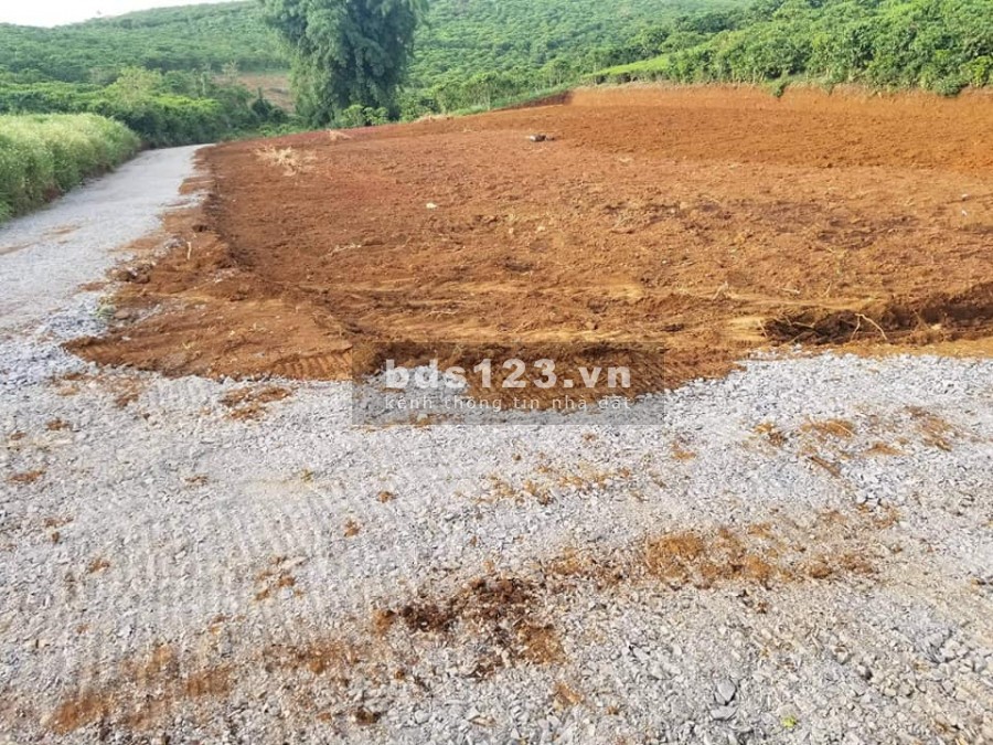 Lô đất rộng 500m2 ôm đồi Thông, Gia Lâm, về Đà Lạt 25 phút, giá chỉ 750 triệu, sổ sẵn