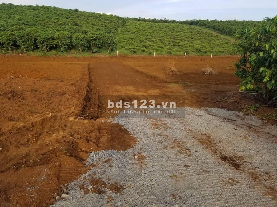 Lô đất rộng 500m2 ôm đồi Thông, Gia Lâm, về Đà Lạt 25 phút, giá chỉ 750 triệu, sổ sẵn