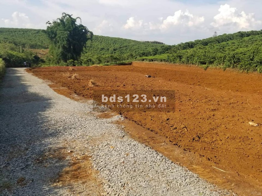Lô đất rộng 500m2 ôm đồi Thông, Gia Lâm, về Đà Lạt 25 phút, giá chỉ 750 triệu, sổ sẵn