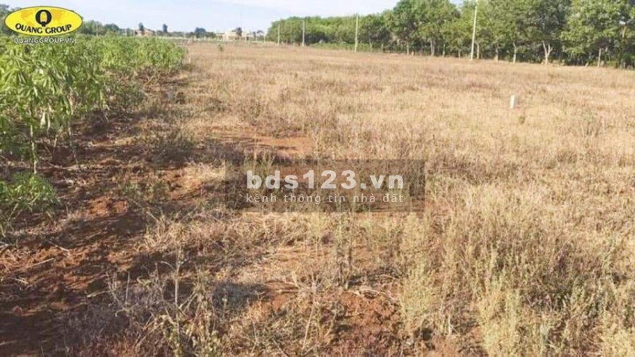 Cần bán đất Vĩnh Hòa Vĩnh Linh pháp lí chuẩn, sang tên ngay, 100% đất ở, vị trí đẹp
