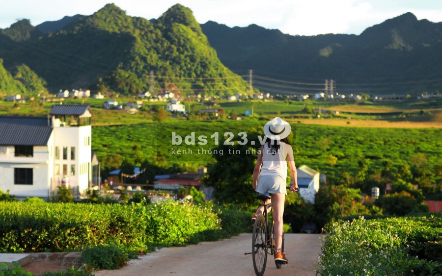 Chủ nhà trả nợ, cần bán lô đất tại Mường Sang - Mộc Châu, nằm gần trục đường 31 mở rộng