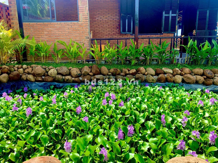Còn lại duy nhất căn Garden House 1 xã Láng Dài, Đất Đỏ có sổ chờ bàn giao, giá yêu thương