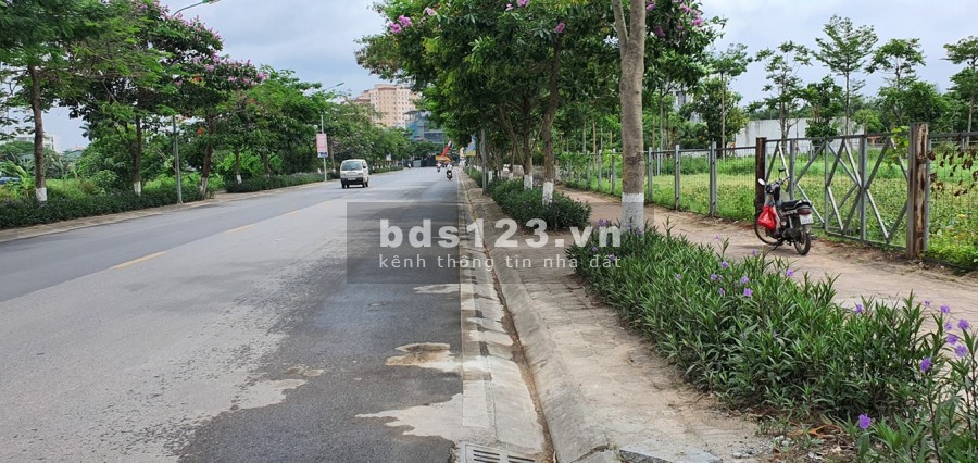 Đất mặt phố Giang Biên, Long Biên, diện tích 80m2, rộng 5.5m, giá bán nhanh 7.95 tỷ
