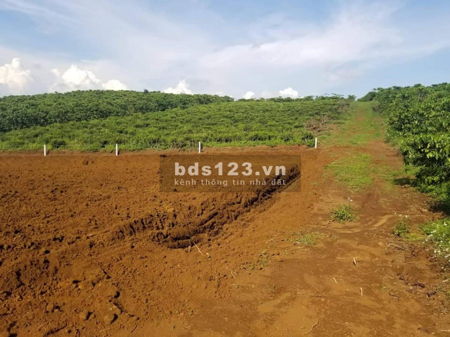 Bán Lô Đât 320m2, Nam Ban, 650 Triệu, Đường Betong View Đồi.