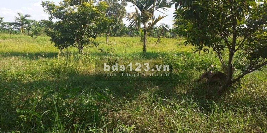 Cần bán mảnh đất 2600m2 -1.3 triệu/m2 tại thôn Yên Khê xã Đại Yên, Chương Mỹ, Hà Nội