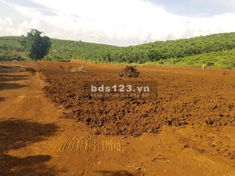 Bán Lô Đât 320m2, Nam Ban, 650 Triệu, Đường Betong View Đồi.