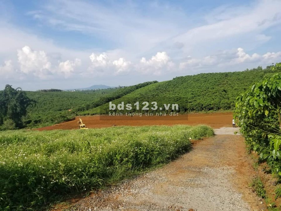 Bán Lô Đât 320m2, Nam Ban, 650 Triệu, Đường Betong View Đồi.