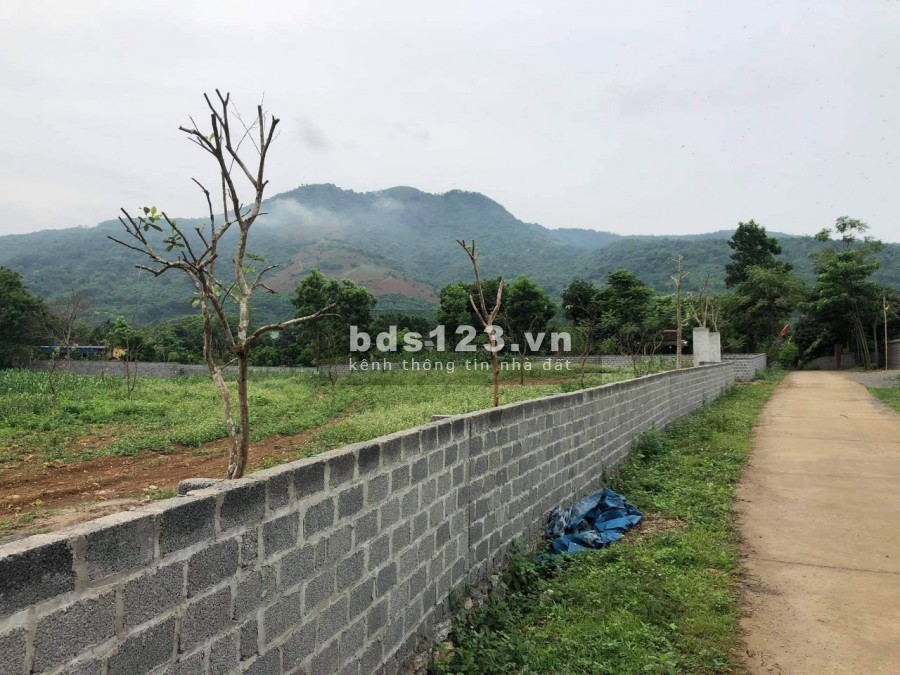 Mua đất Lương Sơn, Hòa Bình đường to, giá rẻ liên hệ 0962792687