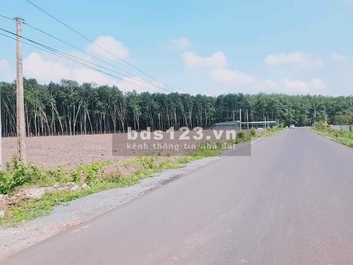 Bán đất giá rẻ mùa covid. Nằm ngay trục chính dt 741, liên hệ xem đất 0879164670