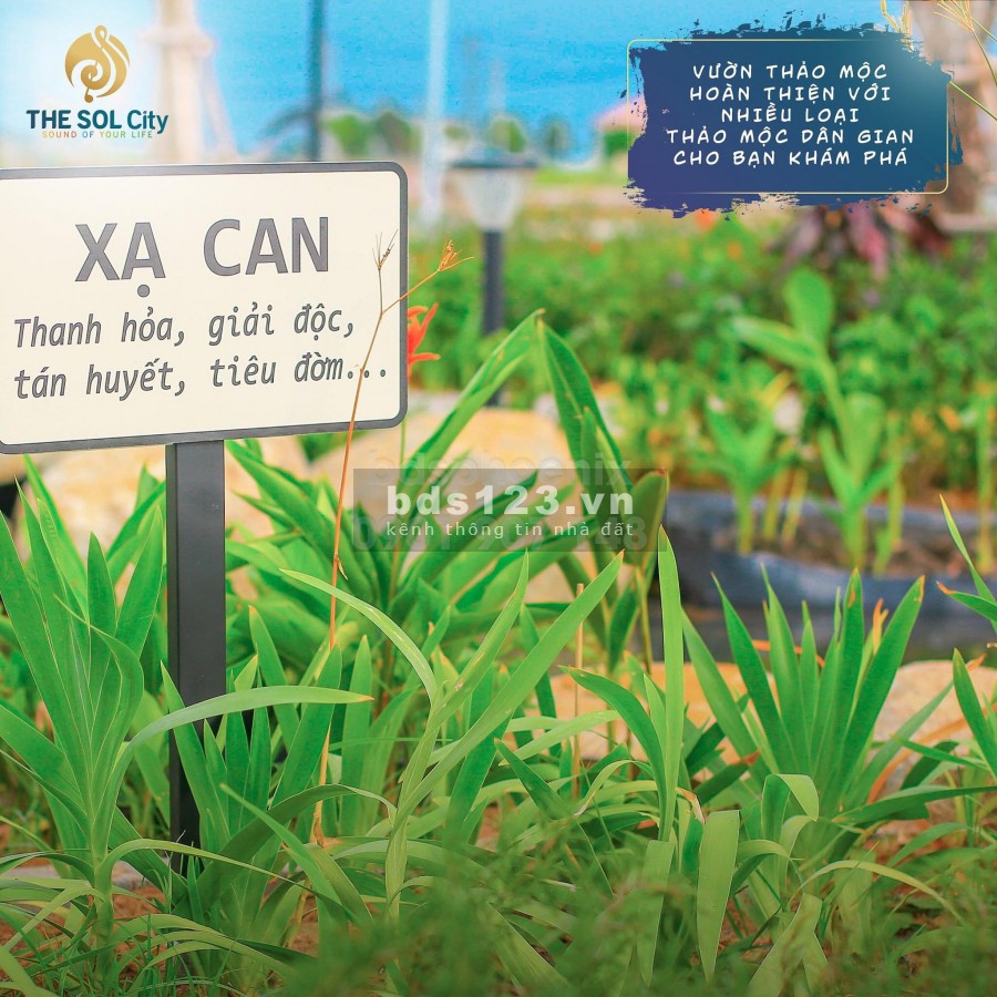 Booking 50triệu dự án The Sol City Long An, giáp ranh Bình Chánh, TPHCM, quỹ đất vàng trong khu vực