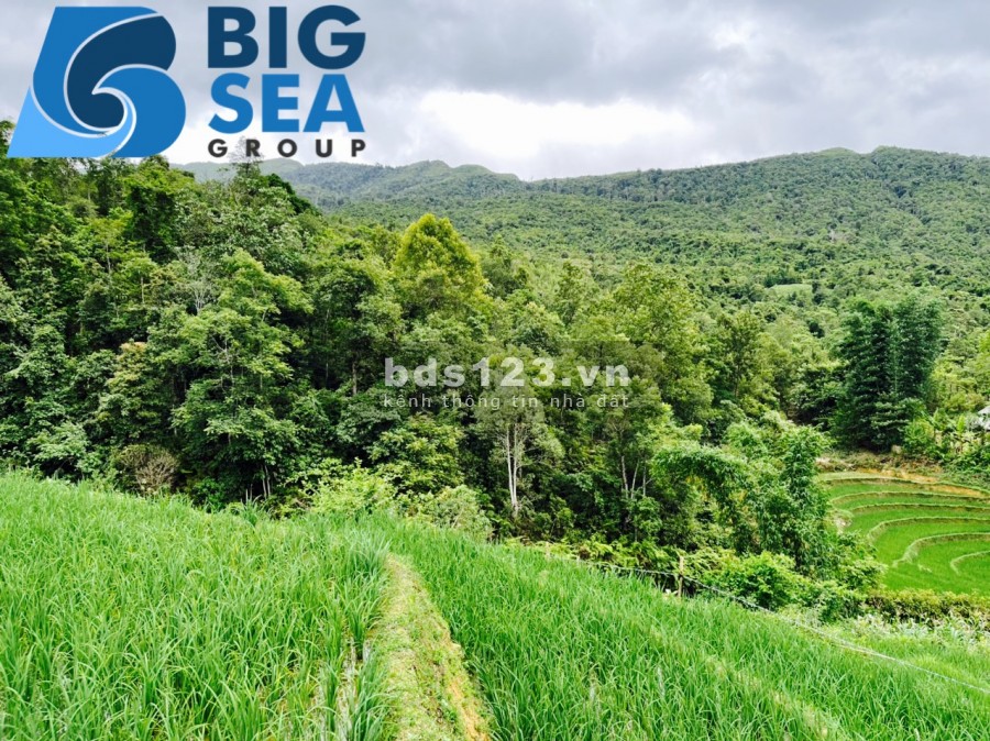 Bán đất thôn Trung Trải, Y Tý-SaPa2 sát trung tâm hành chính huyện, giá rẻ