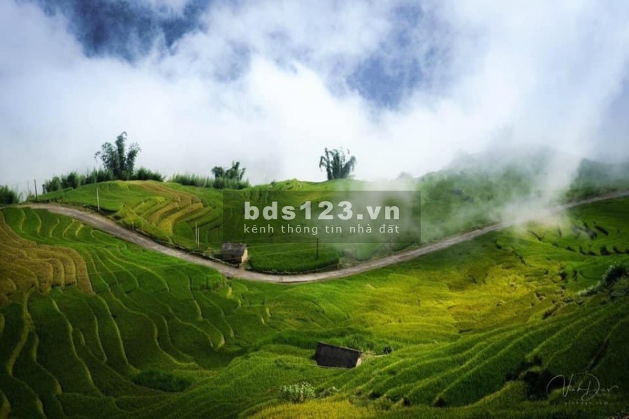 Mua đất đầu cơ tiềm năng sinh lời tại Y Tý - Sapa 2, vị trí đắc địa, pháp lí minh bạch