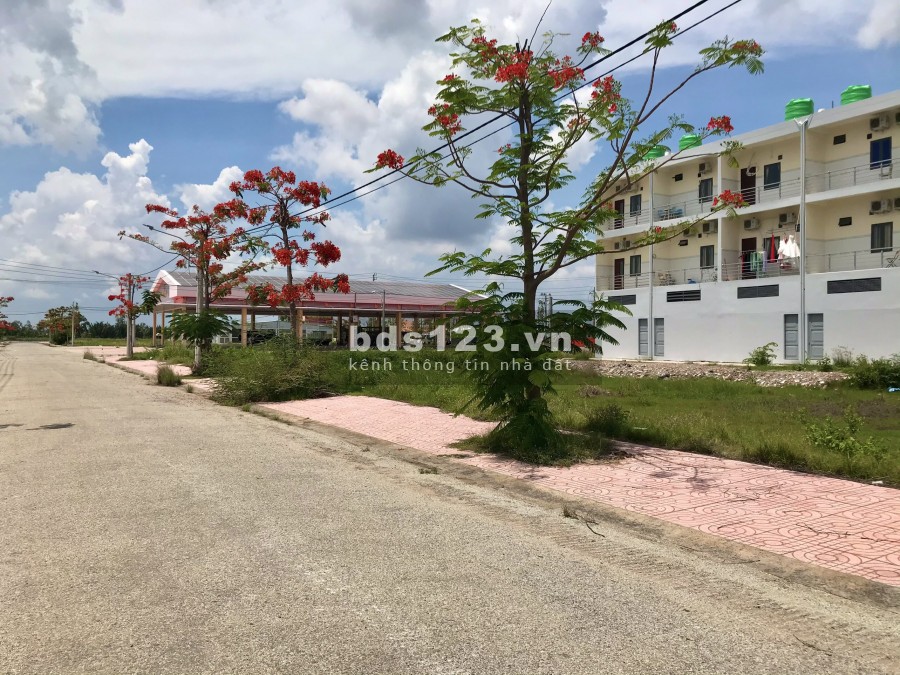 Mua đất chợ Thạnh Phú chỉ cần 459 triệu, pháp lí đầy đủ, liên hệ xem đất 0353743482